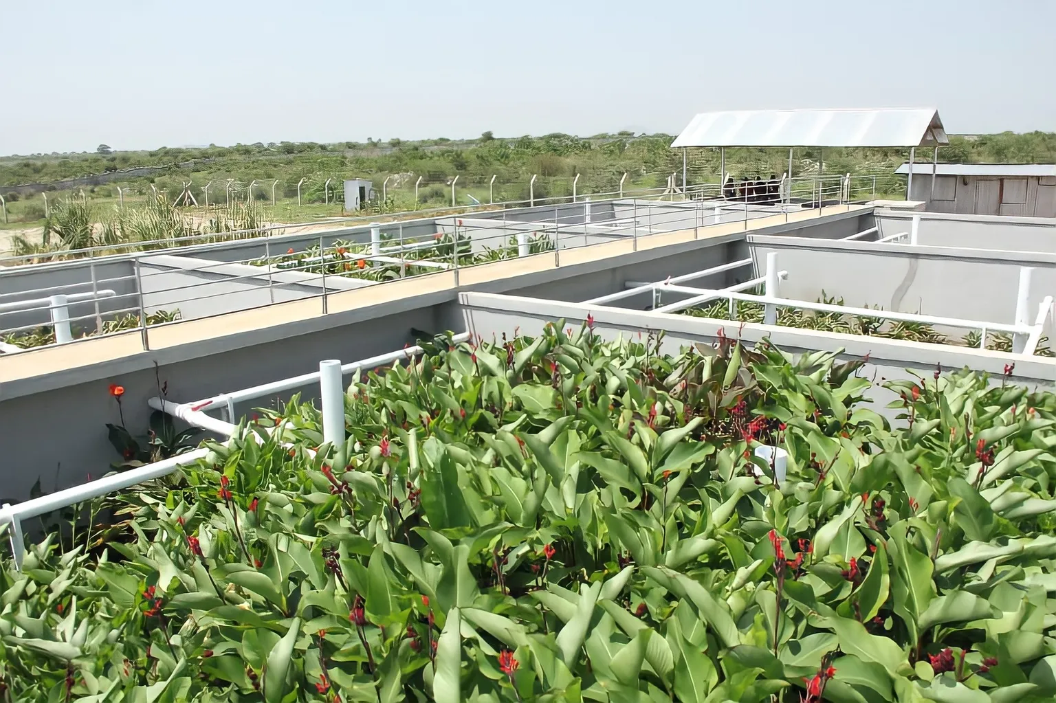 First faecal sludge treatment plant in Shinyanga Tanzania open for service!