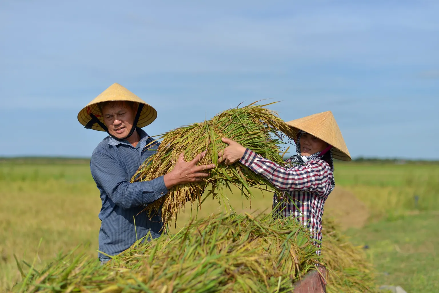 Policy brief: gender equality in climate change adaptation and disaster resilience in Vietnam