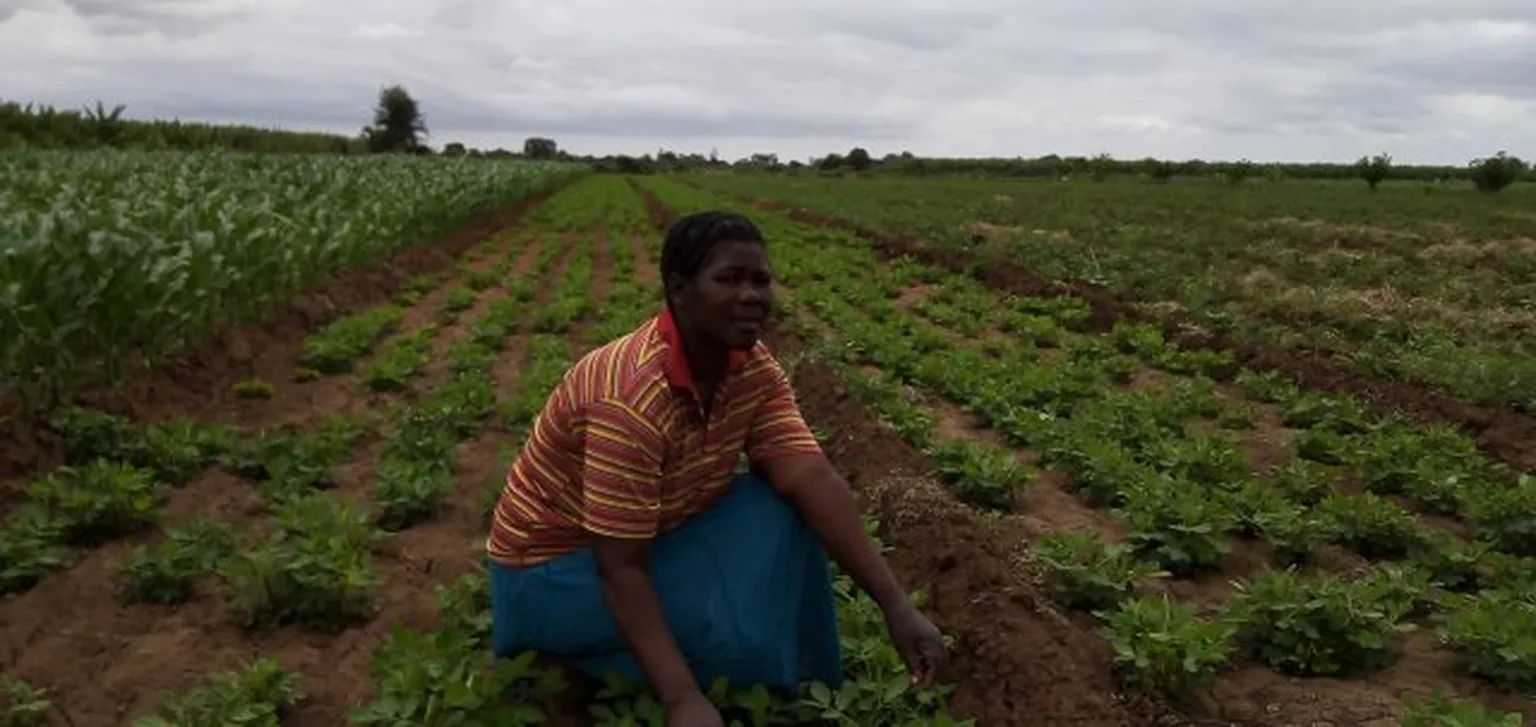 Woman in field