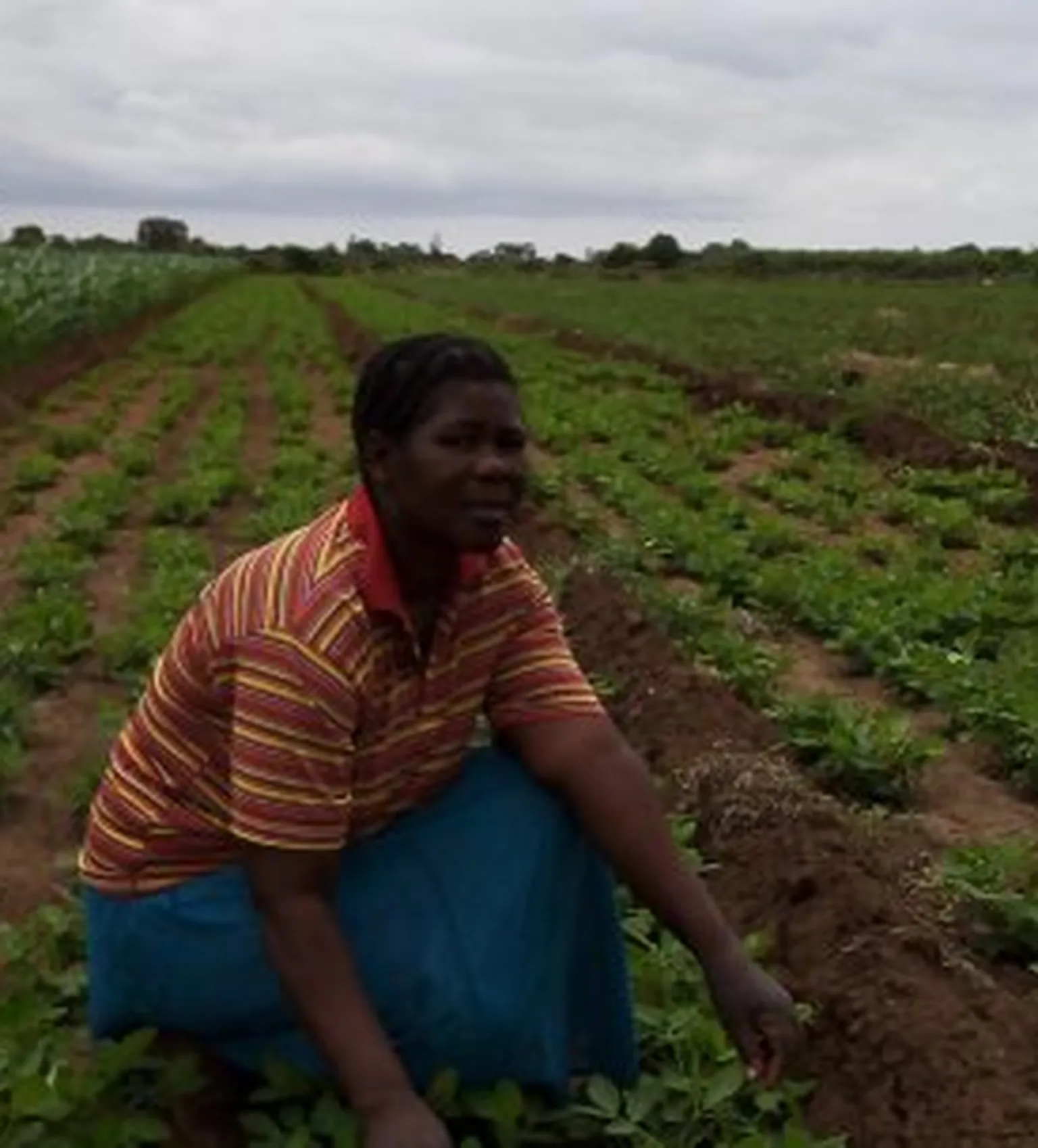 Woman in field