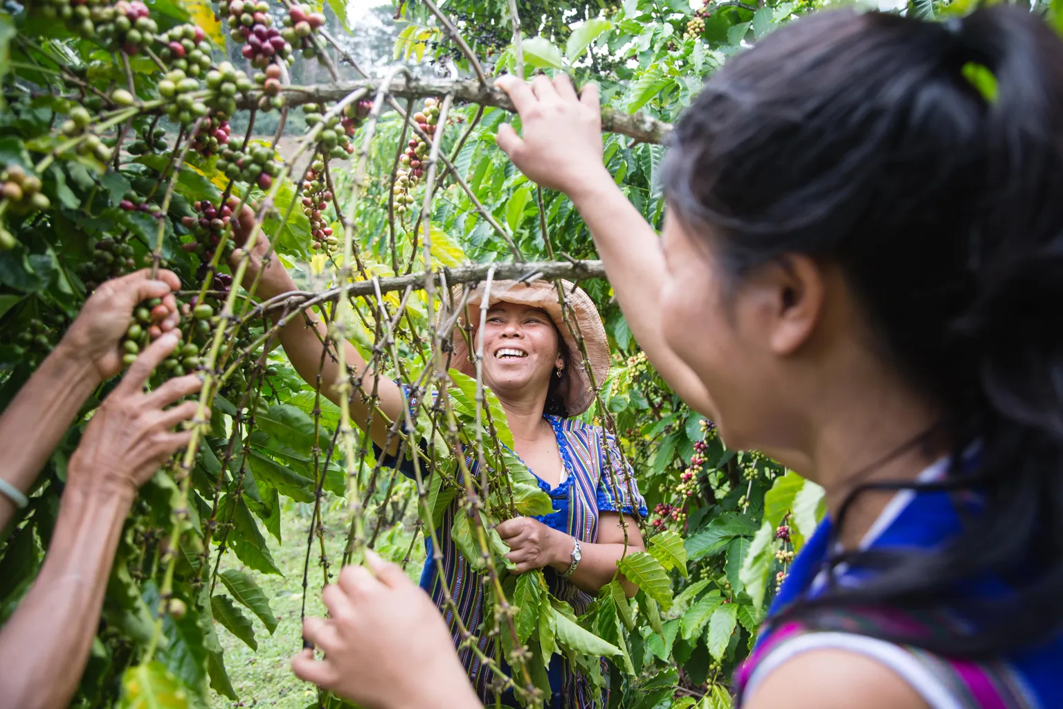 Paper: Stimulating business engagement in climate change adaptation