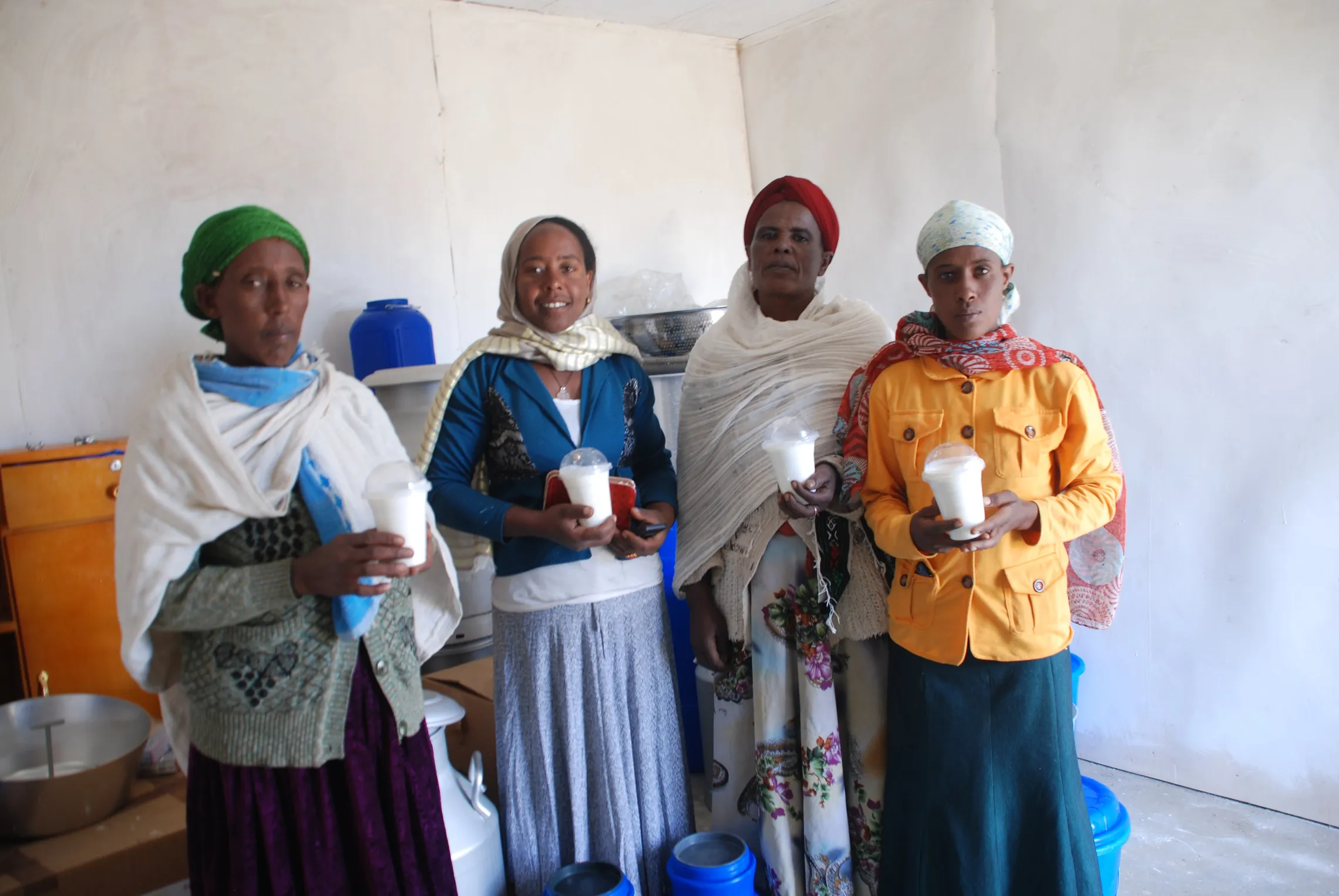 Some of the Hawi Gudina Dairy Processing Cooperative executive committee members