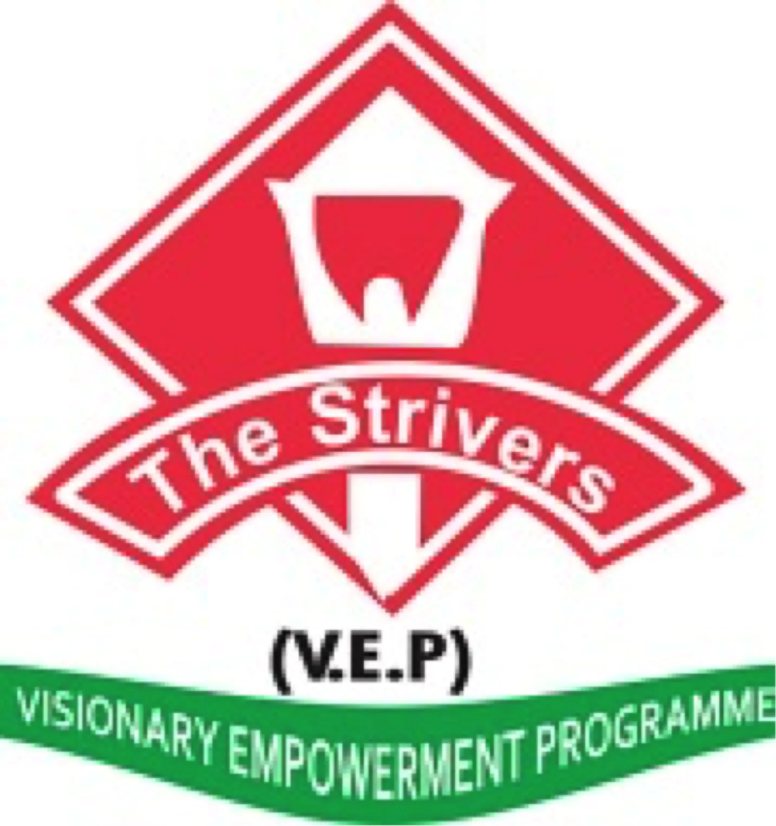 Visionary Empowerment Programme