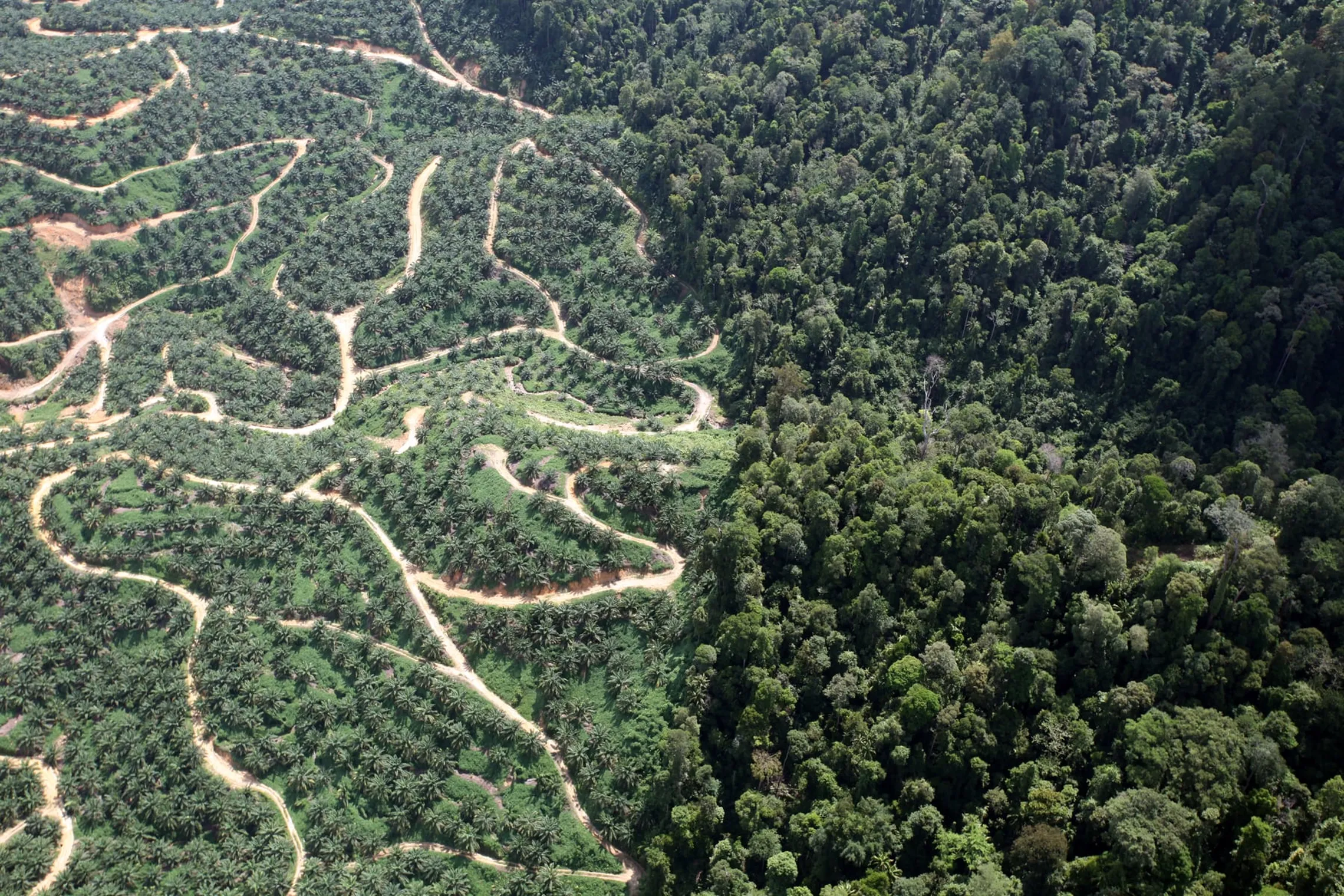 aerial view