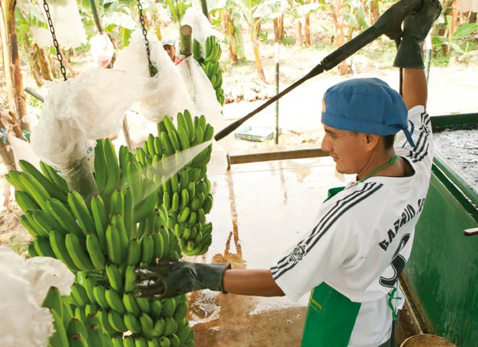 Supporting companies that bring healthier food to the market