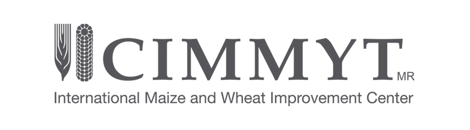 CIMMYT