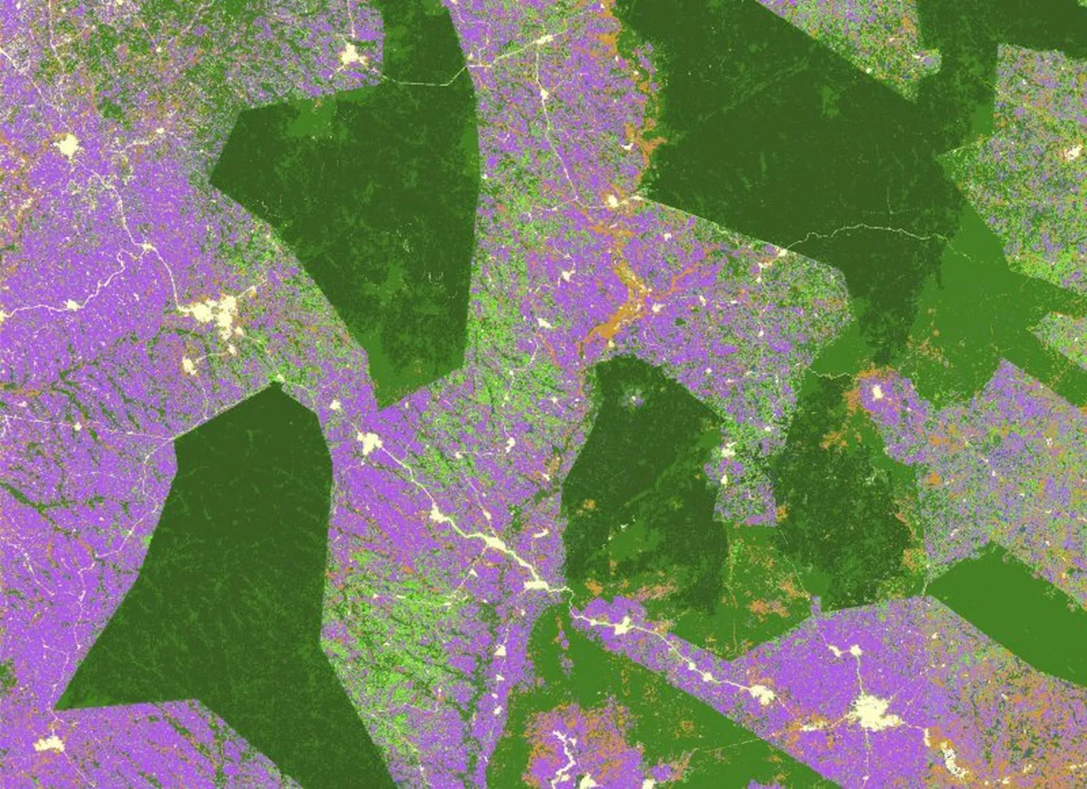 Classification result by Satelligence