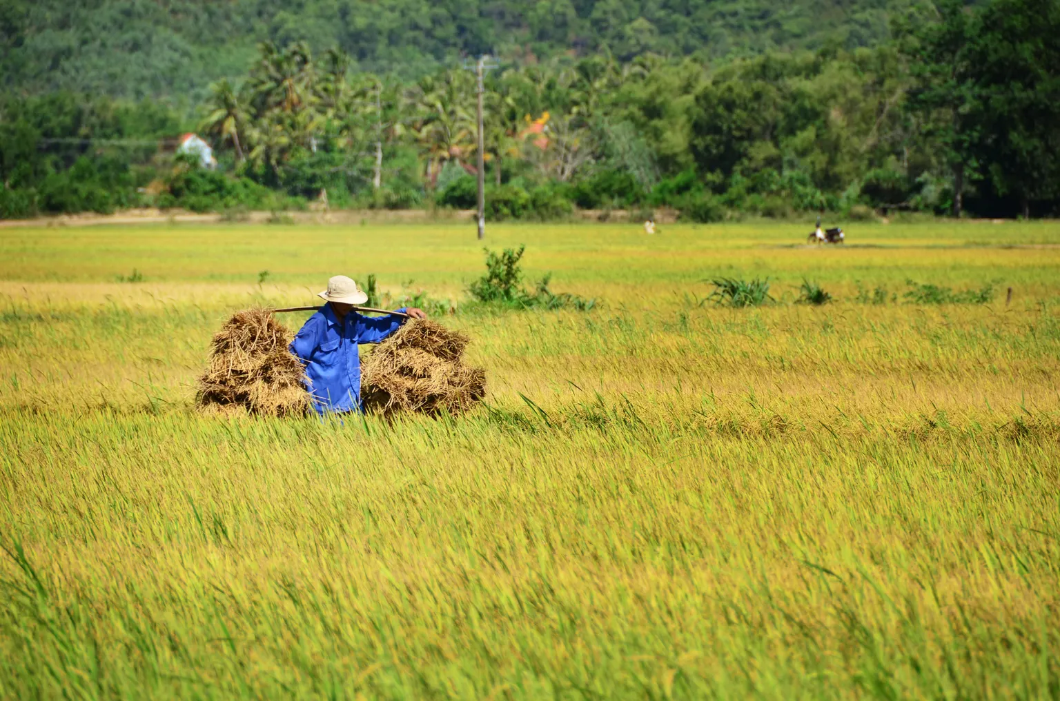 Let’s get to work - Building a food secure future