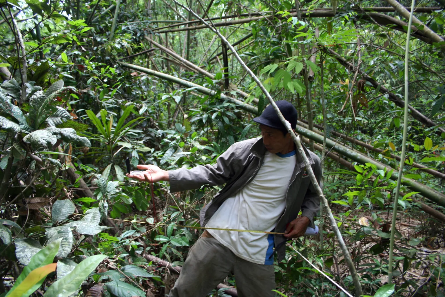 ENRICH: Understanding Forest Carbon Stock Enhancement in Laos