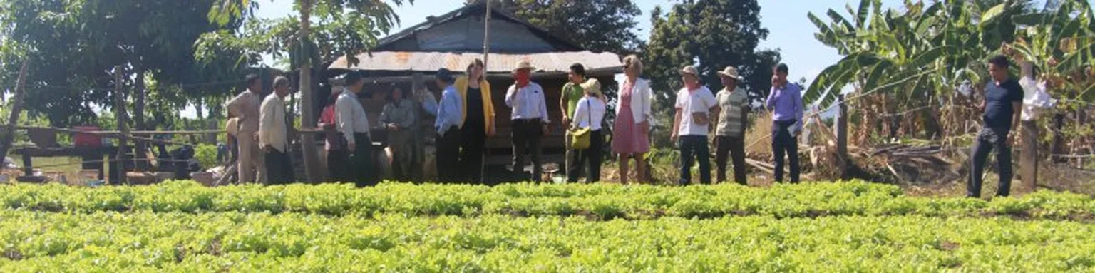 Group of people standing near hut