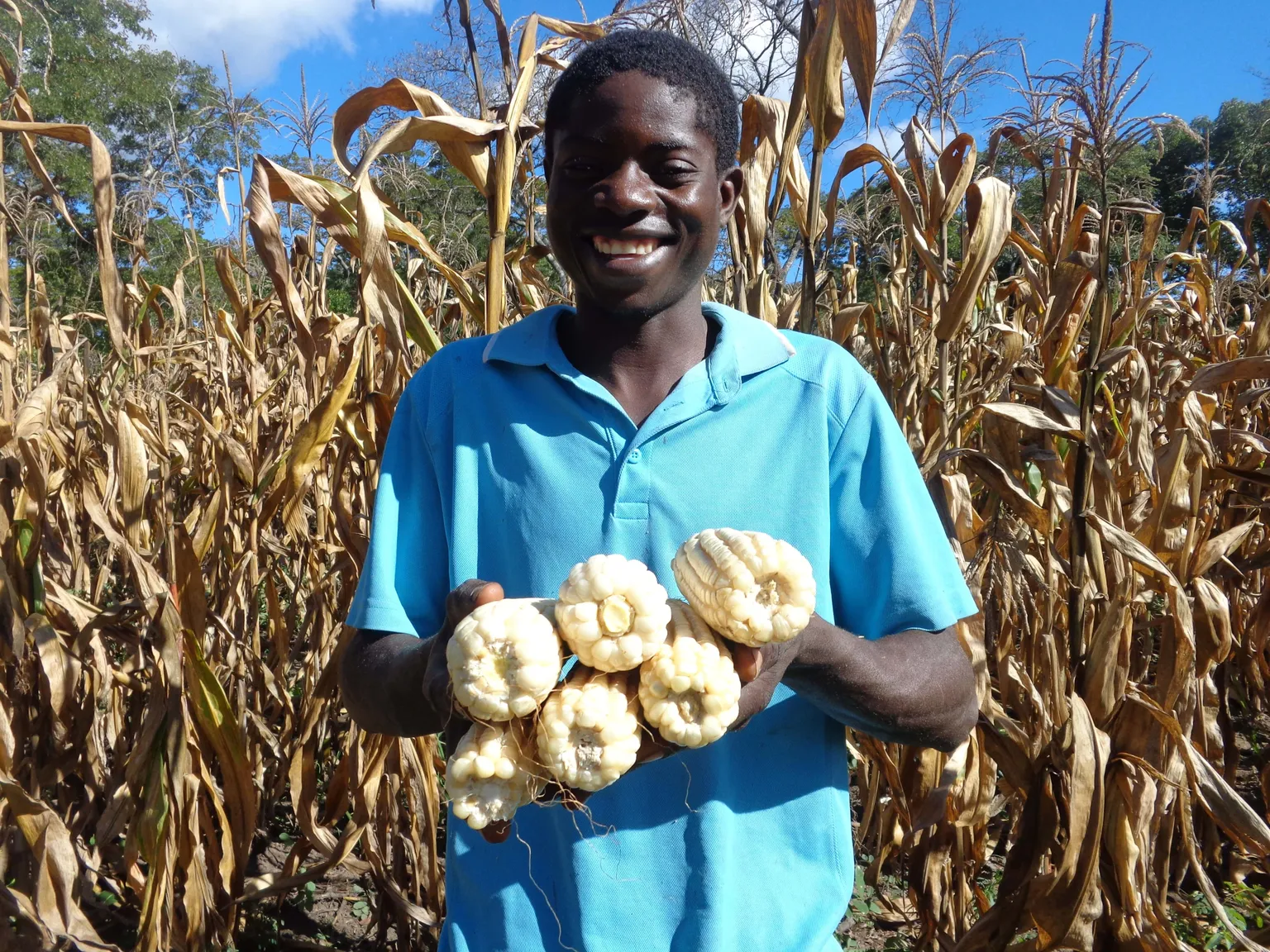 Overwhelming response to call for applications from OYEM project