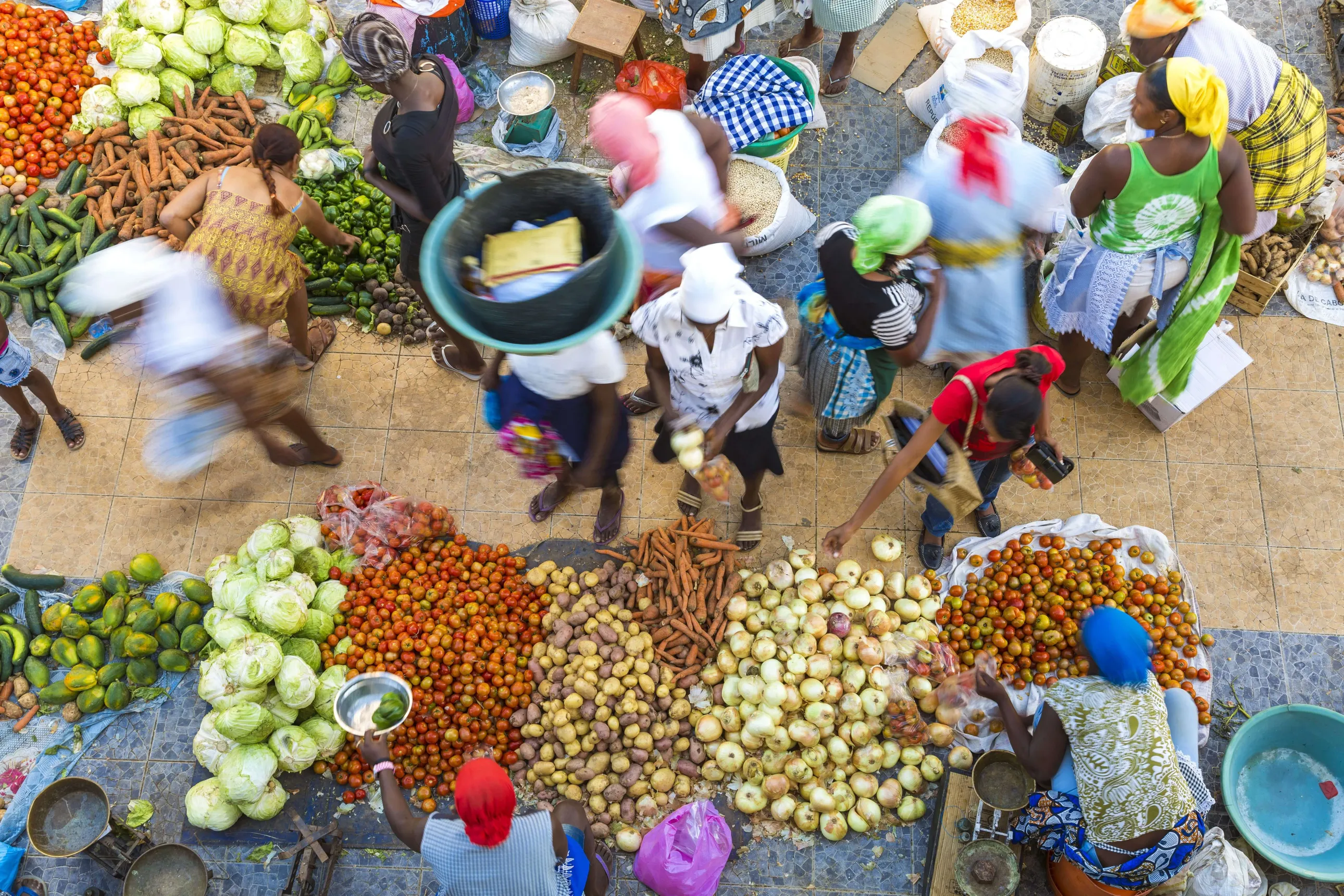 COVID-19 Response and Resilience Initiative for Food Value Chains in Africa (CORE-Africa)