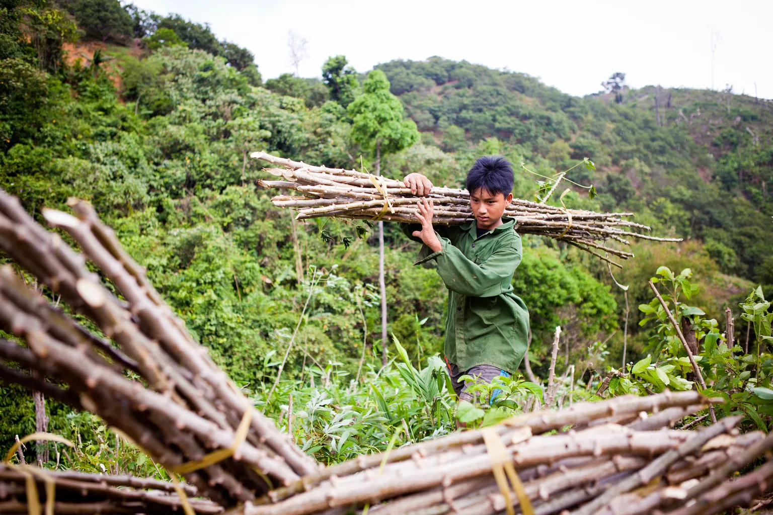 Exchange and Learning: Participatory Forest Monitoring in Vietnam