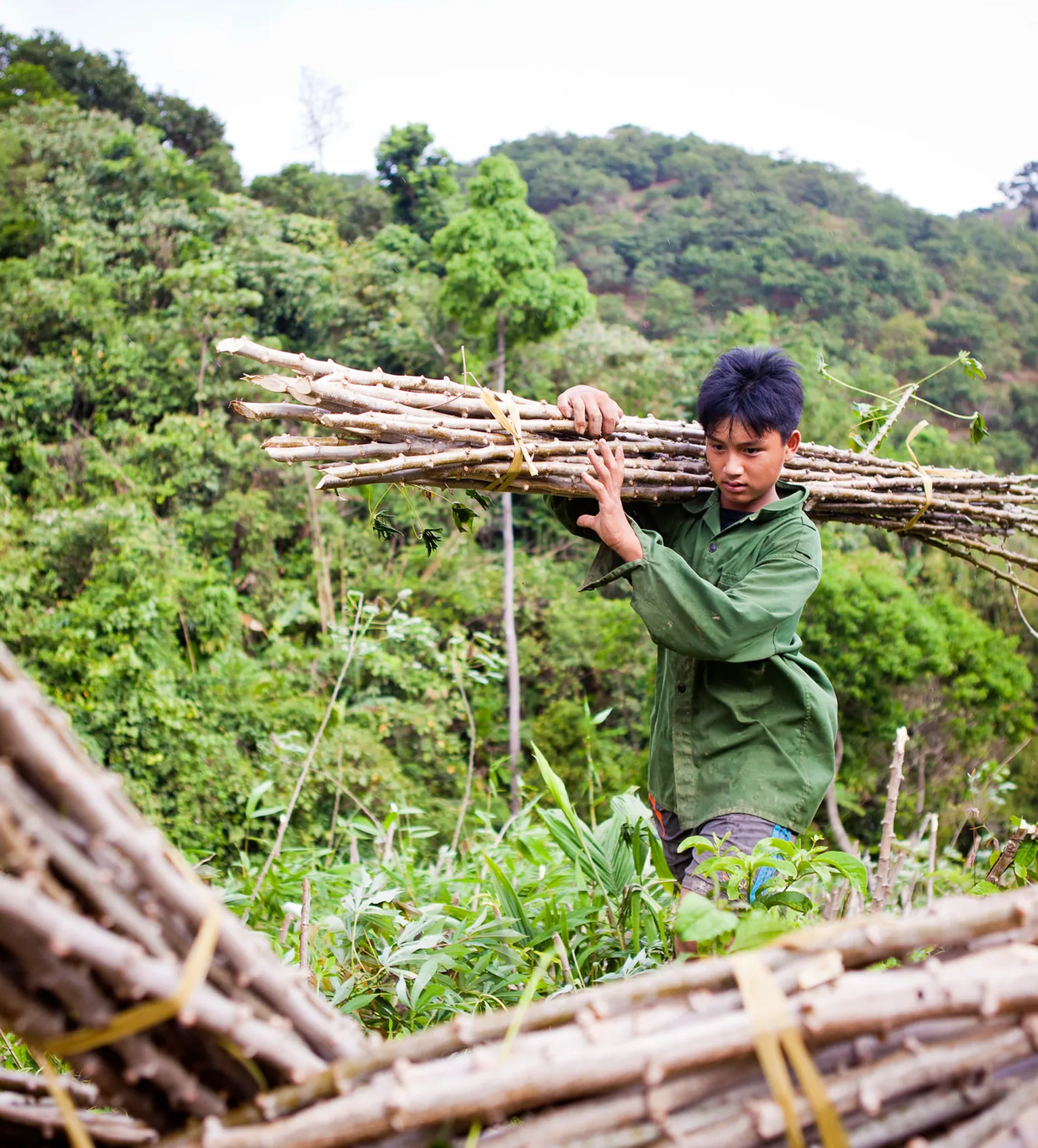 Exchange and Learning: Participatory Forest Monitoring in Vietnam