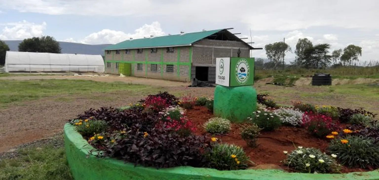 Nakuru farm