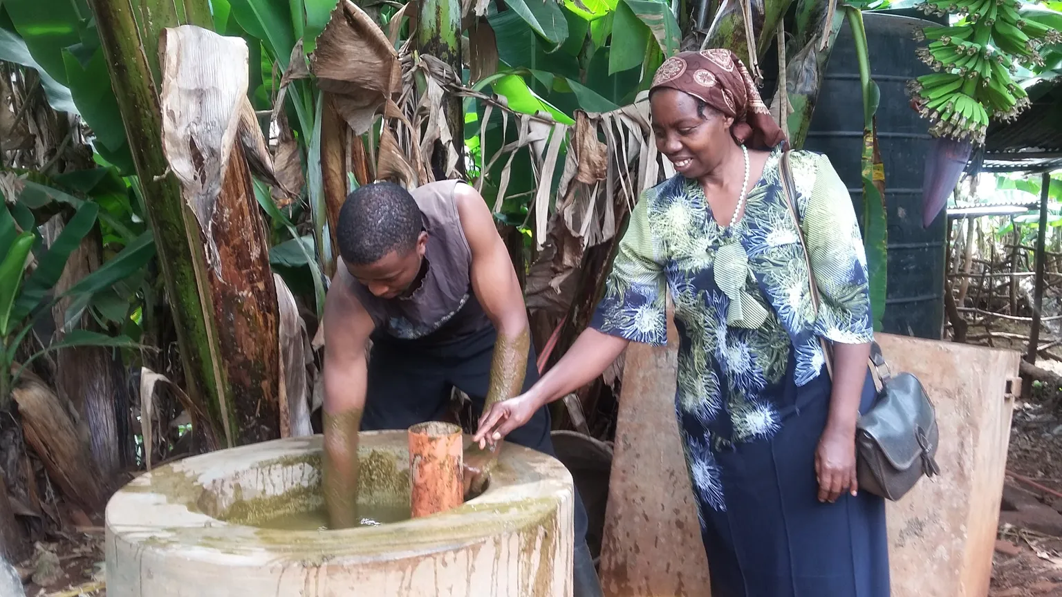 Cow dung & wedding cakes: an unexpected business opportunity