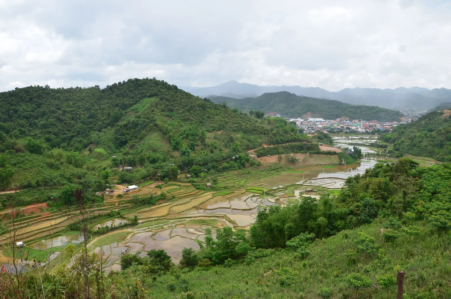 Participatory land use planning to support healthy forests