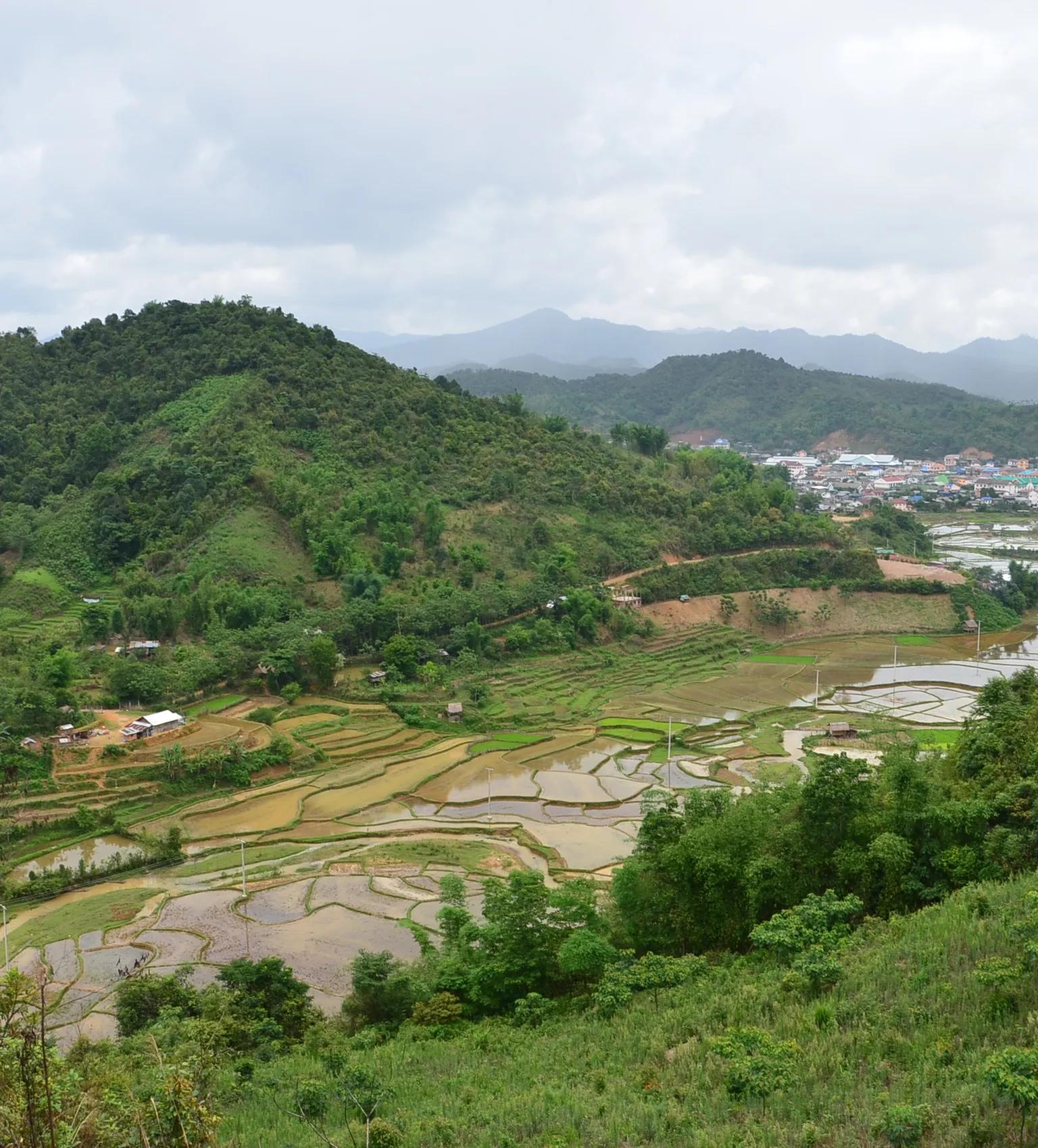 Participatory land use planning to support healthy forests