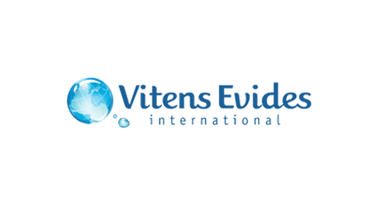 Vitens Evides International