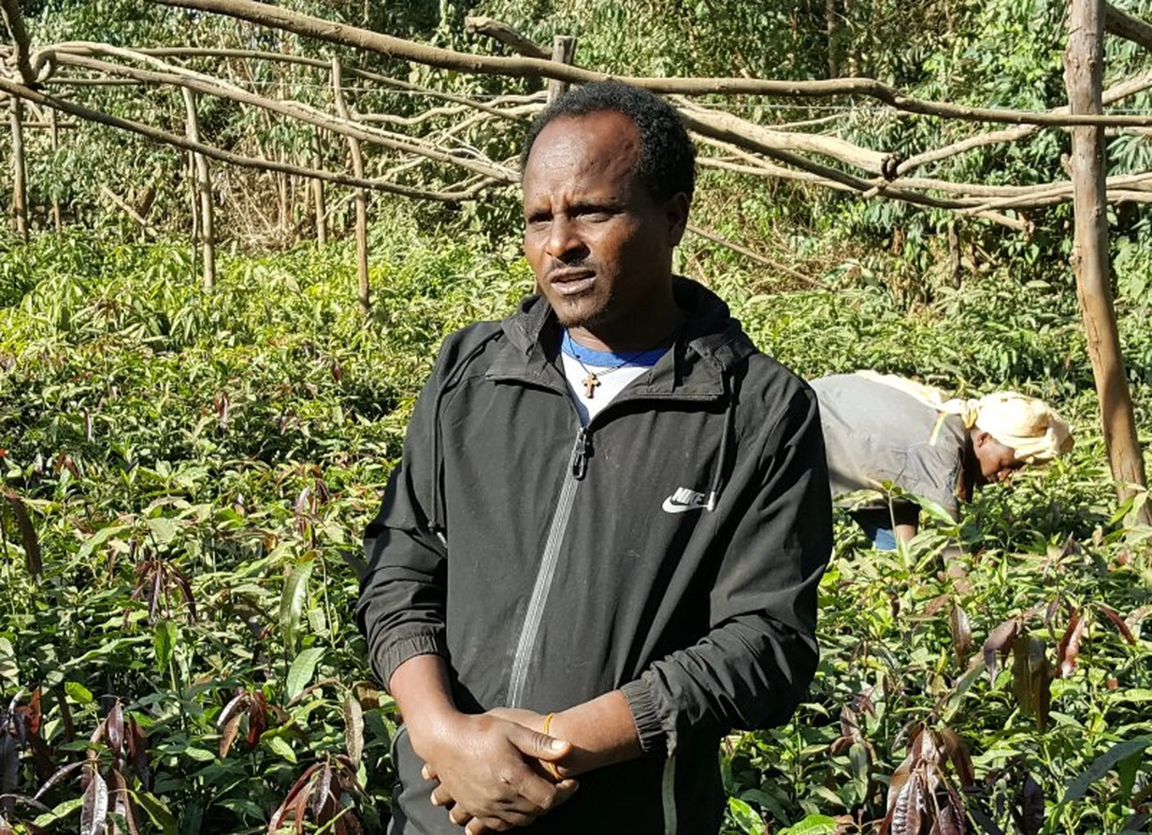 Asmamaw Ambaye in one of his nursery sites