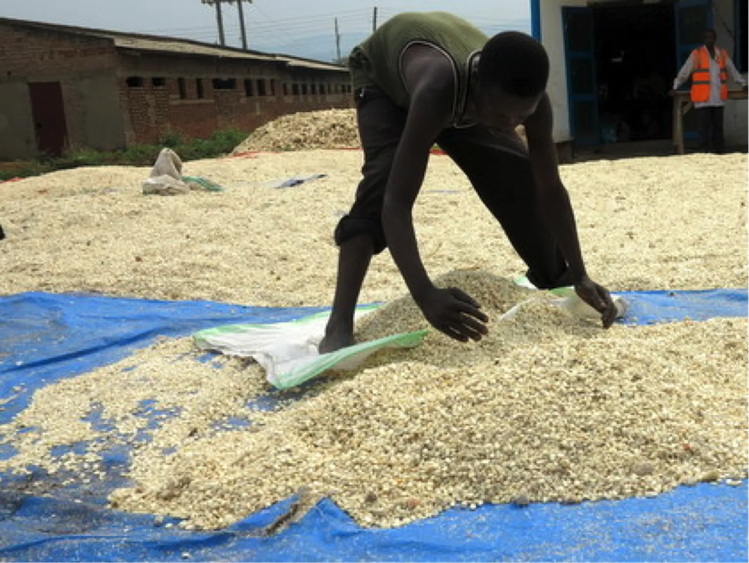 SNV Uganda and World Food Programme sign partnership agreement to support 900 farmers