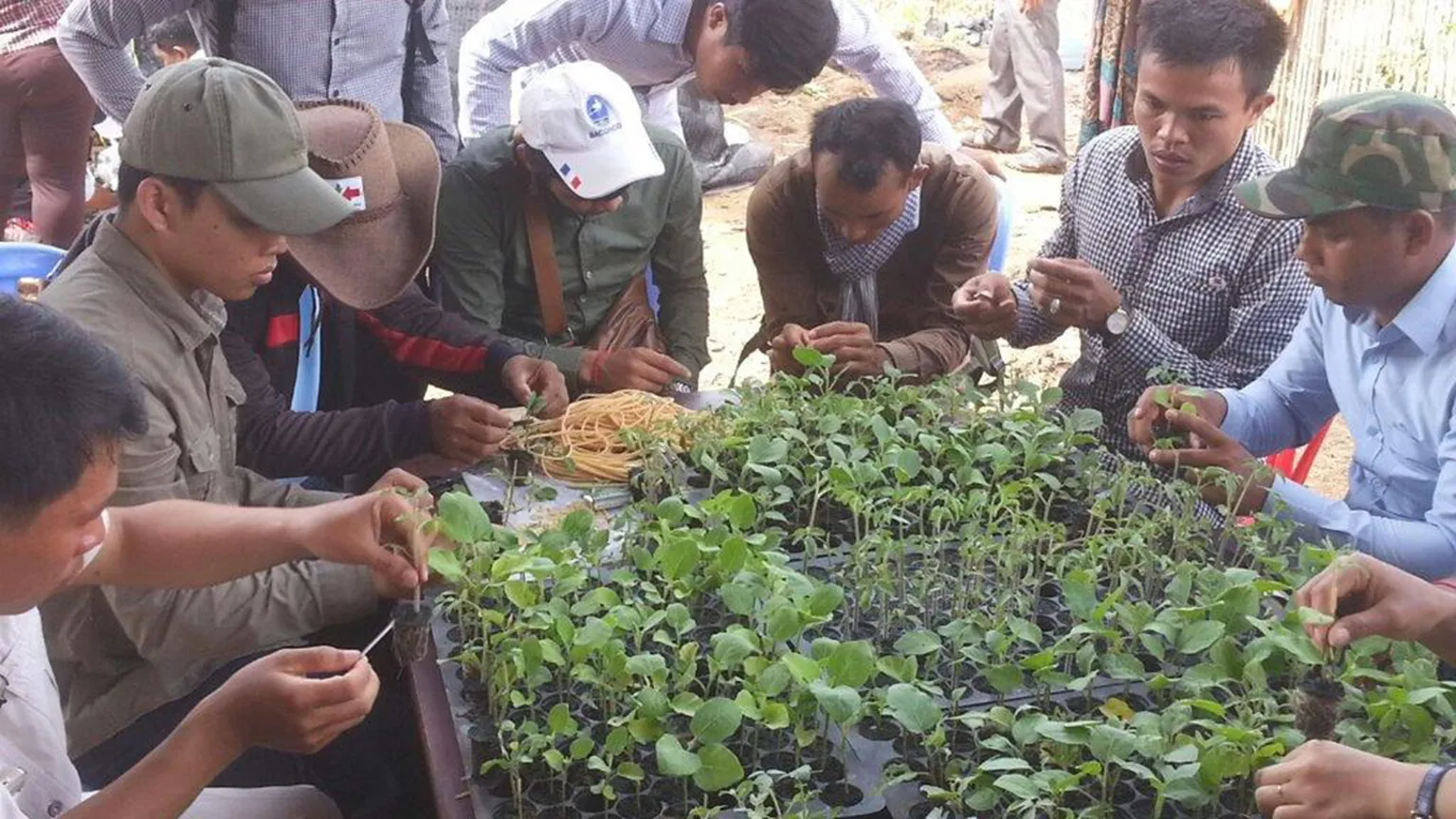 Training on grafting practices
