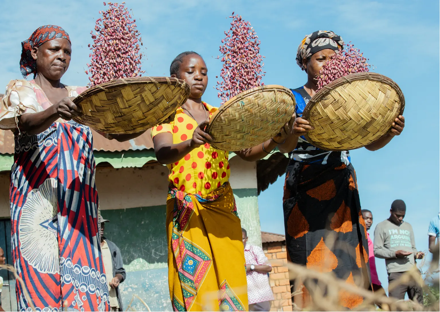 Three women hold baskets of common beans