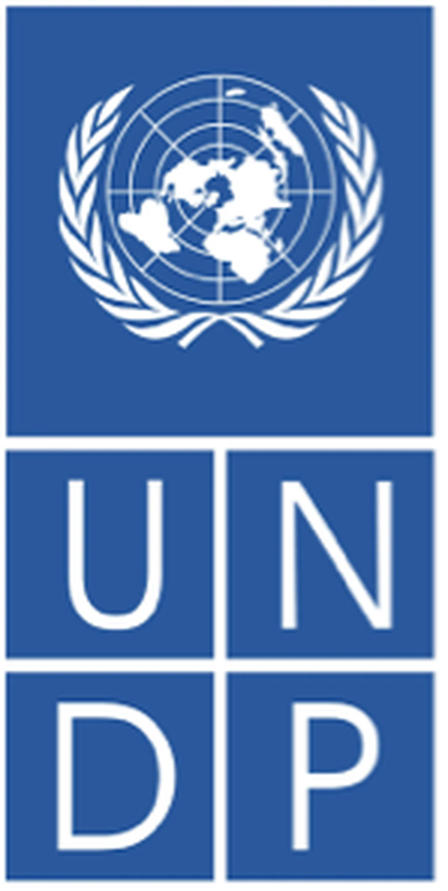 United Nations Development Programme (UNDP)