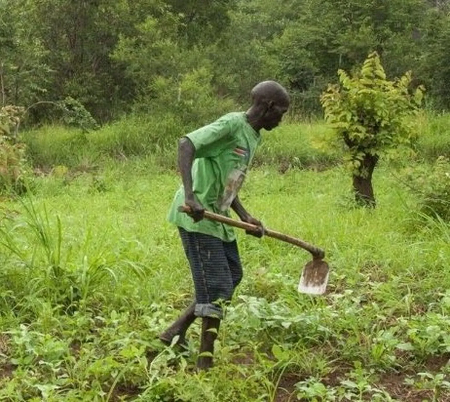 Man in Africa working in the field