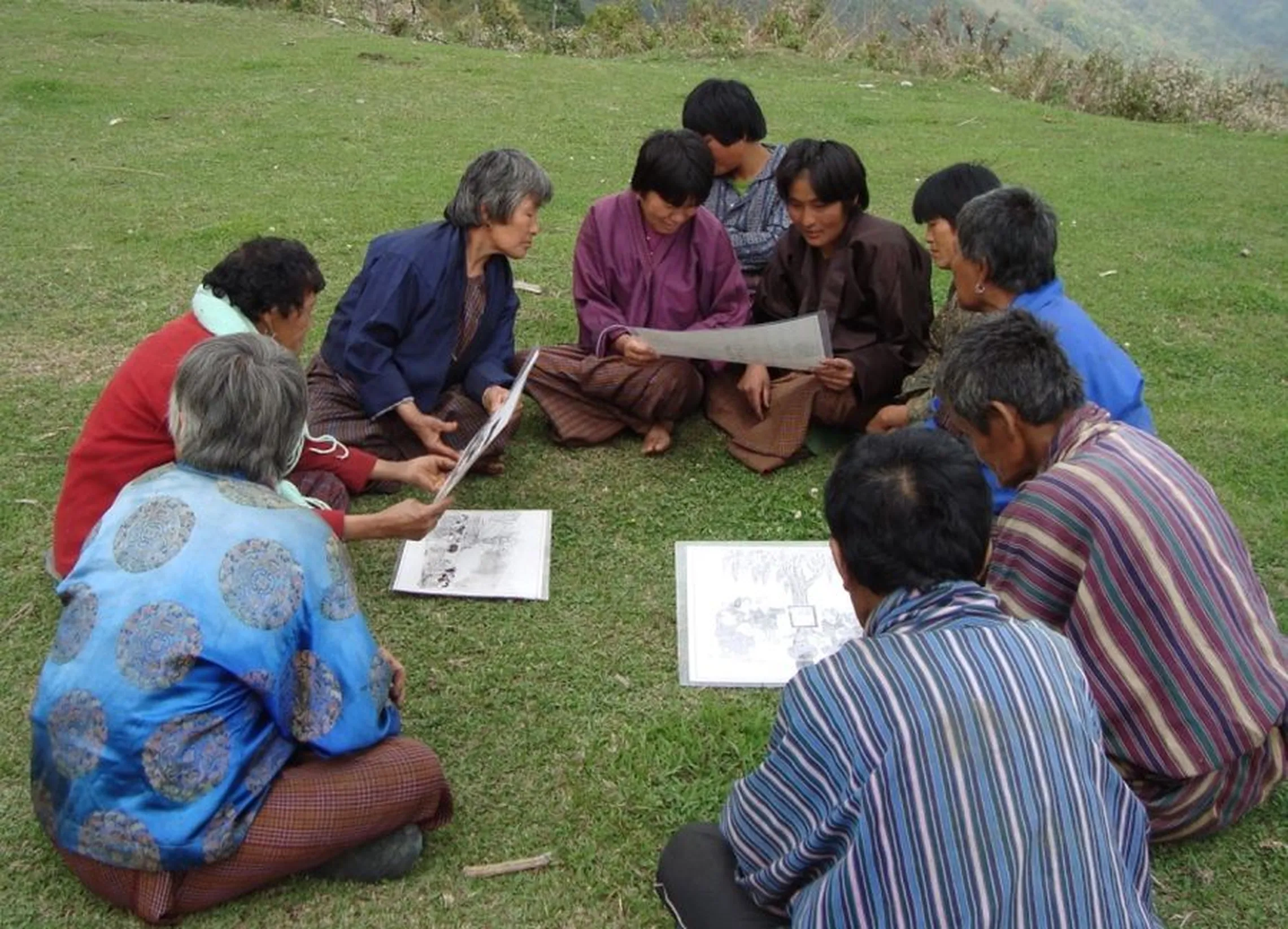 people on the grass