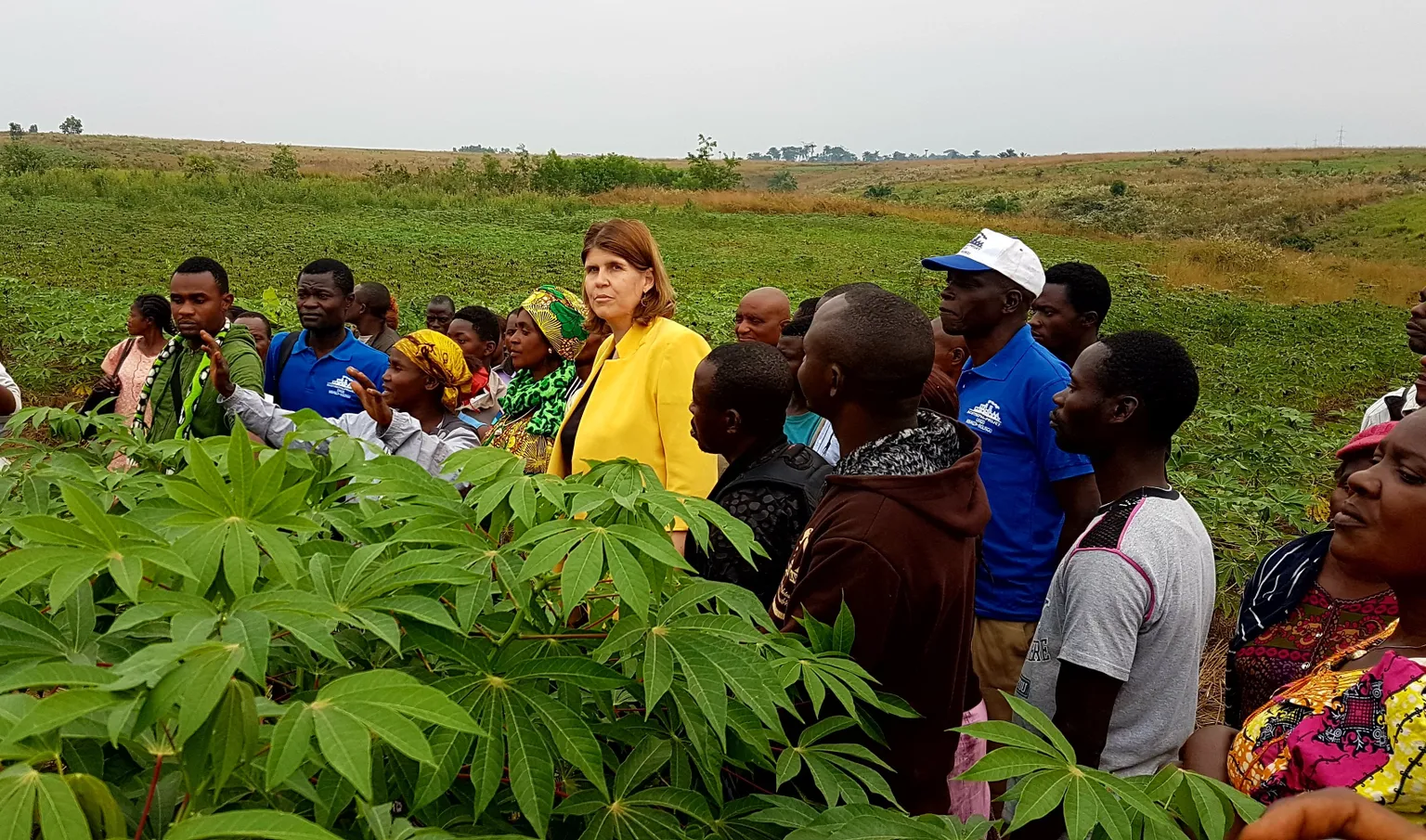 Boosting Agricultural Productivity in the DRC