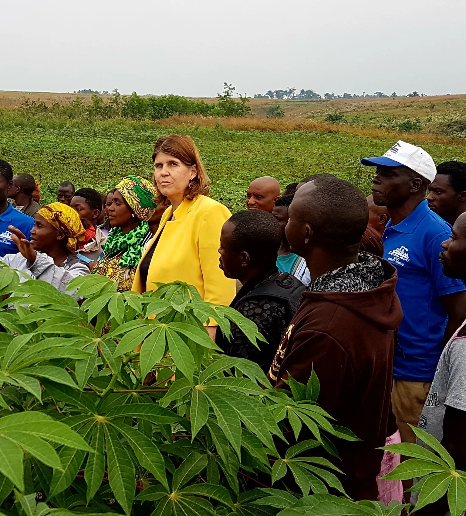 Boosting Agricultural Productivity in the DRC