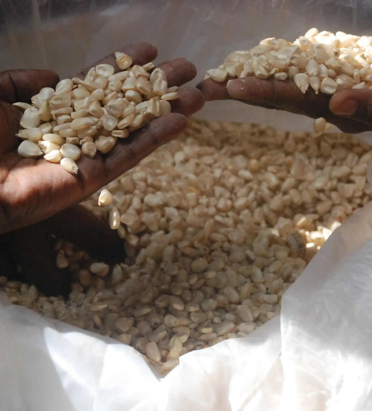 Puzzling out Ethiopian farmers’ crop storage issue