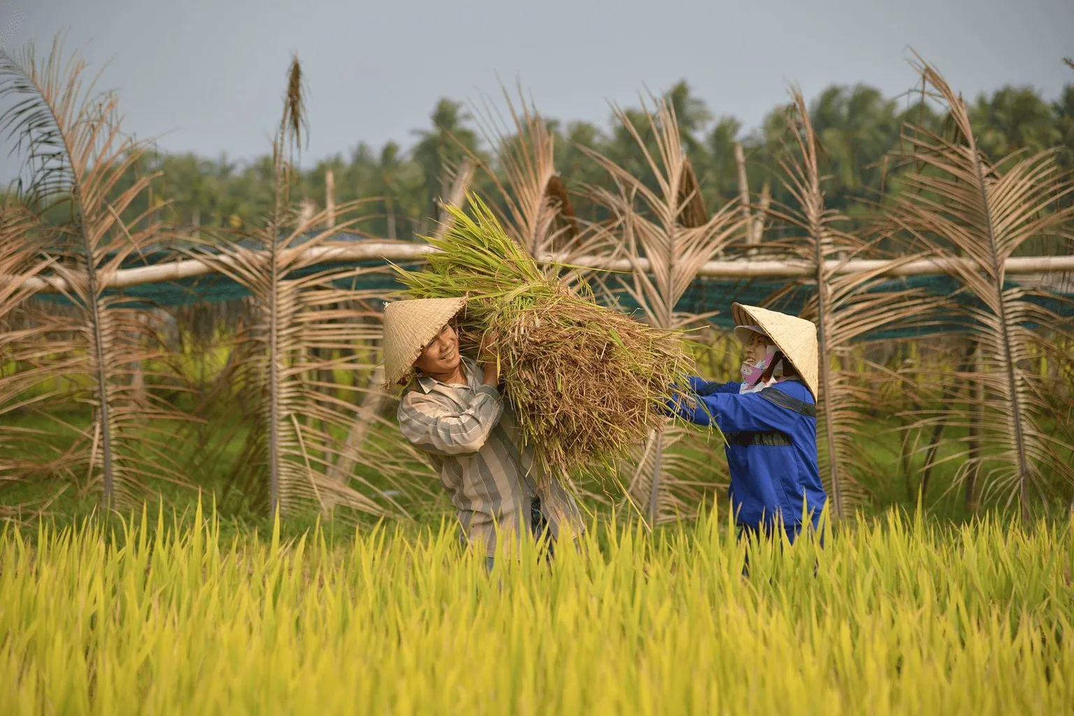 SNV helps countries raise their climate ambition