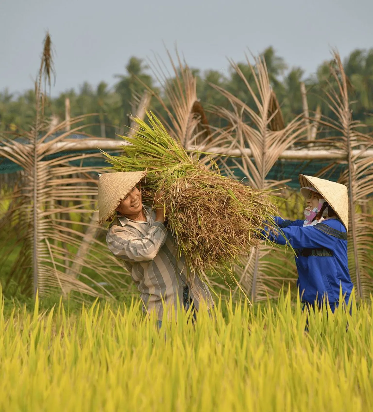 SNV helps countries raise their climate ambition