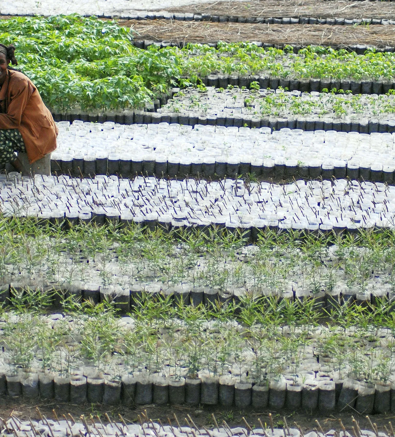 My husband had always refused to allow me to work out of the house. But after receiving training, that changed. I now run my own business