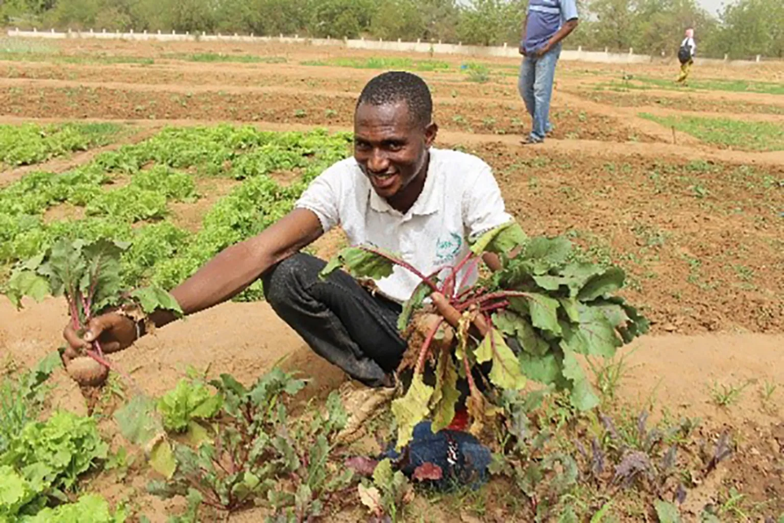 Hissam Alphagalo became a successful horticulture entrepreneur