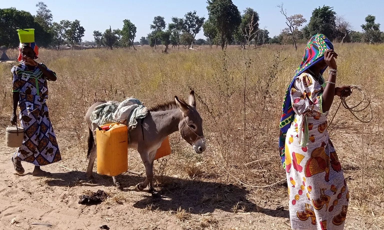 Women from Bako Maka, Municipality of Karimama fetching water from the Niger River before the solar-powered water station set up by SIA N’SON-ONG