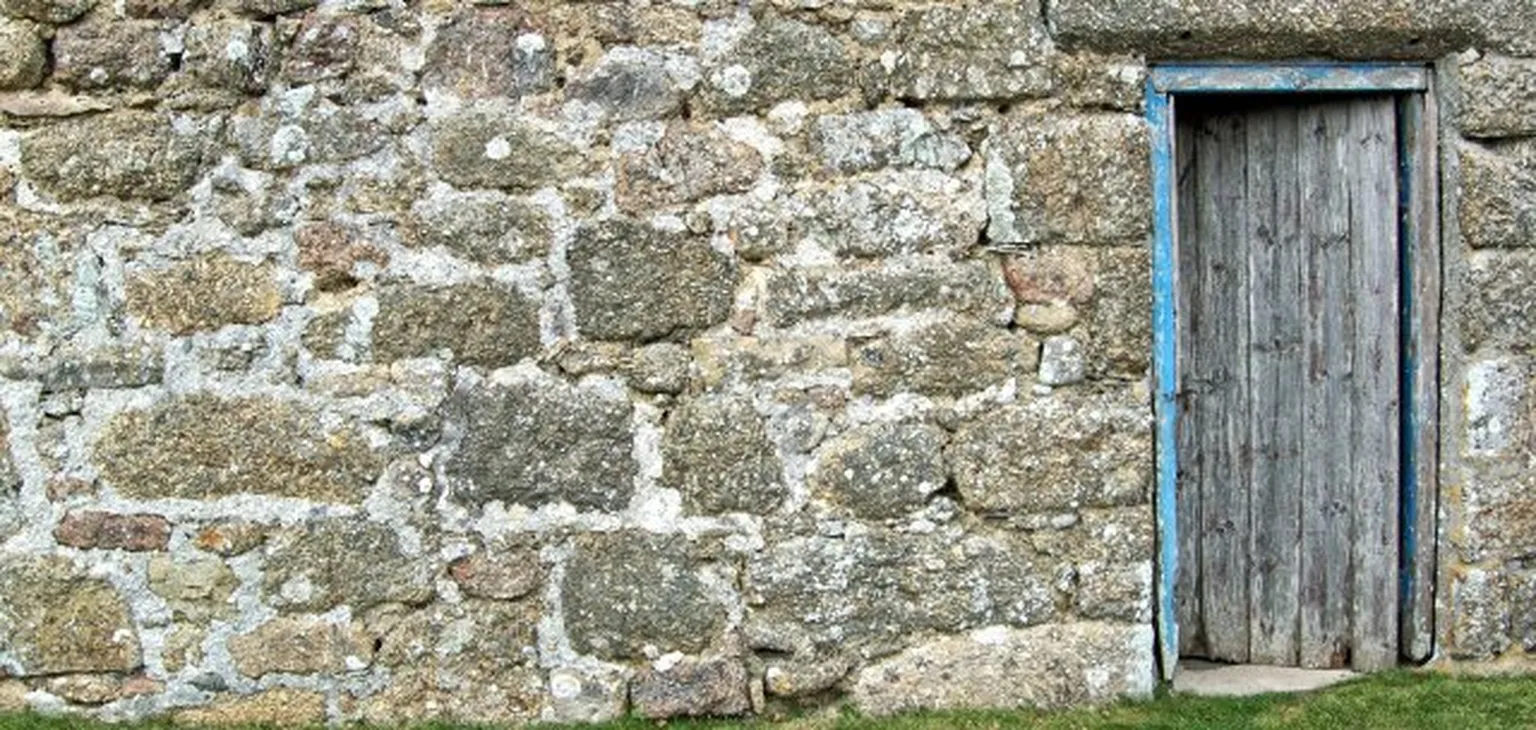 Brick wall with door