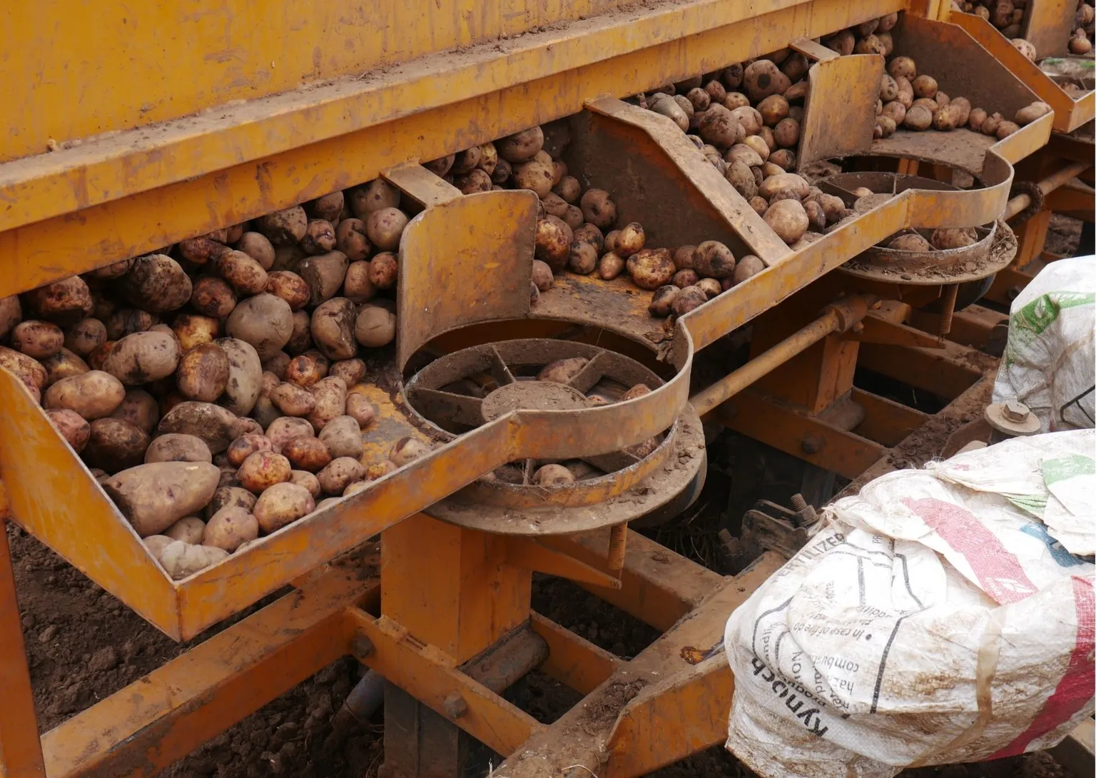 Potato planter