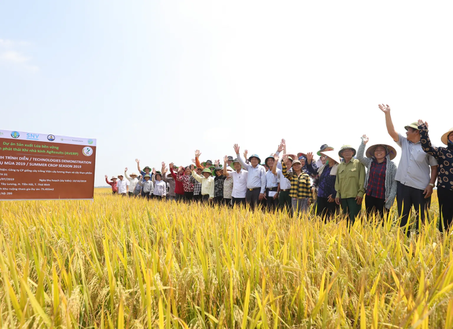 Group of people cheering on field