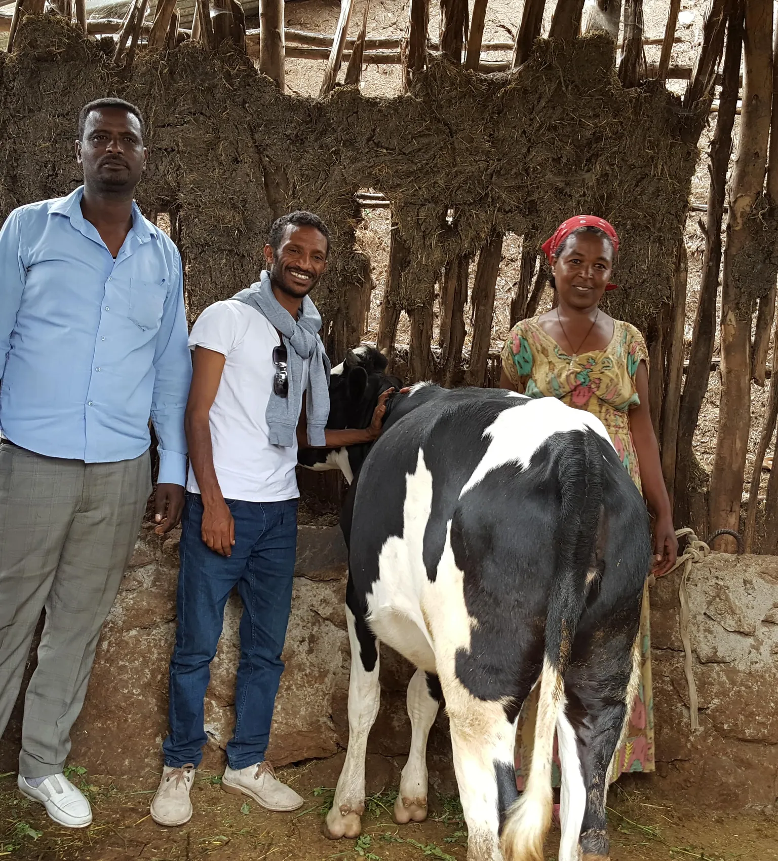 Enhancing the dairy value chain of Ethiopia 