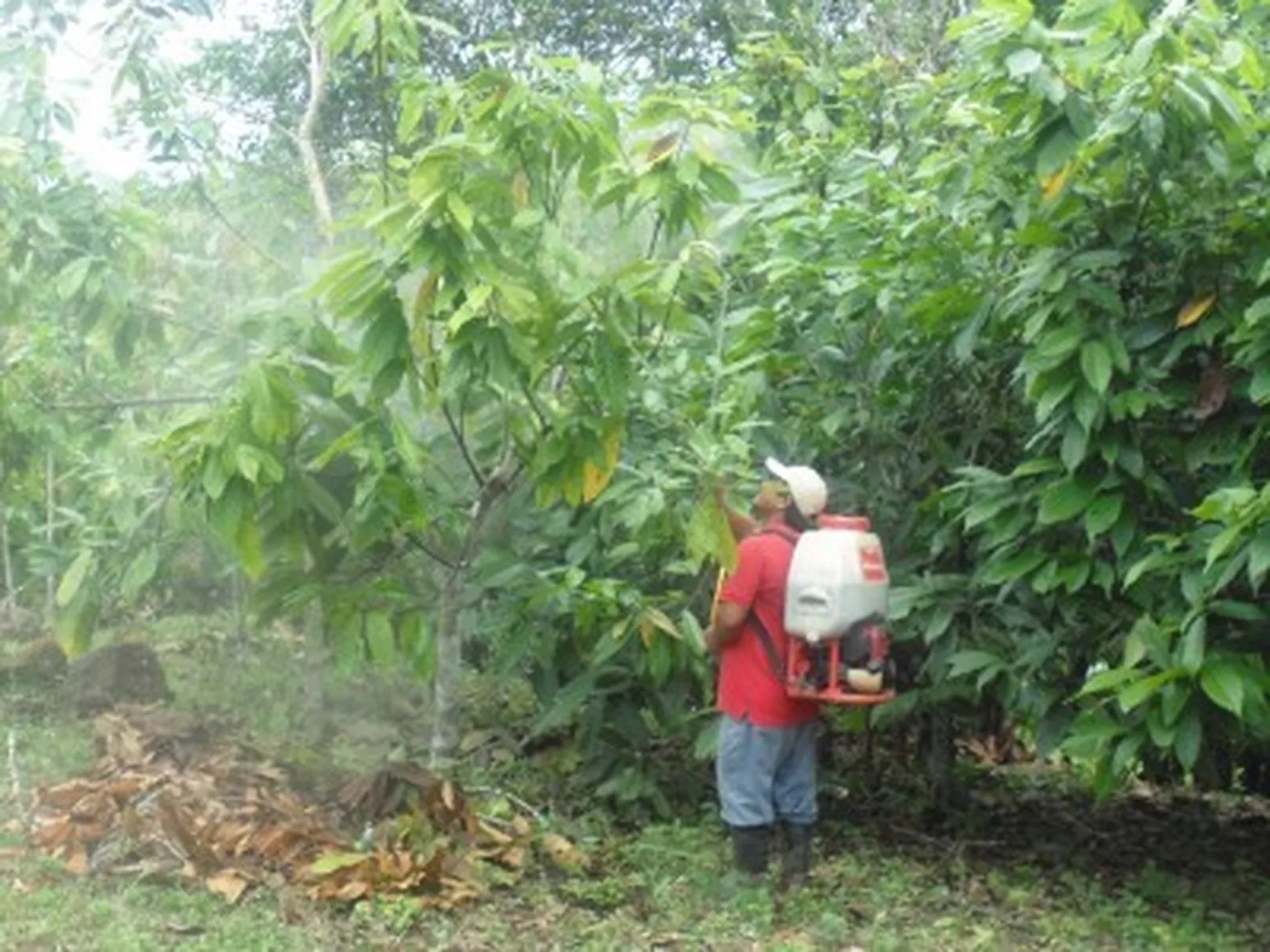 National Biogas Programme Nicaragua improves quality of life