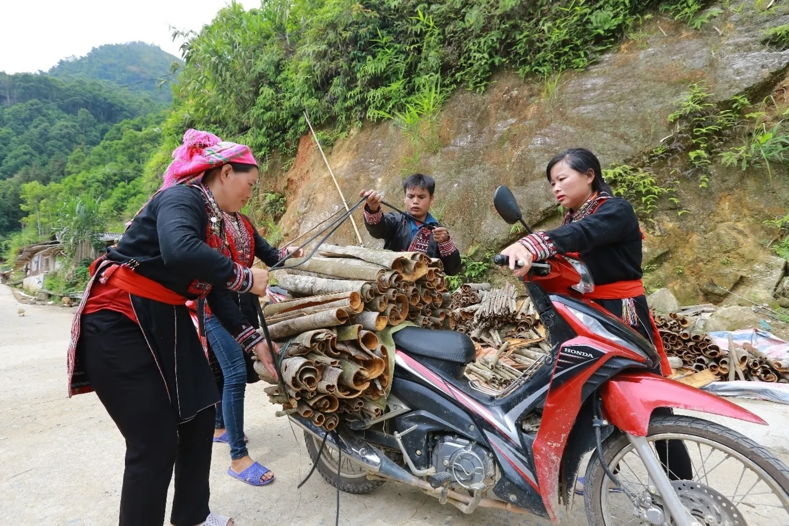 Success story: organic cinnamon plantation supports women’s empowerment