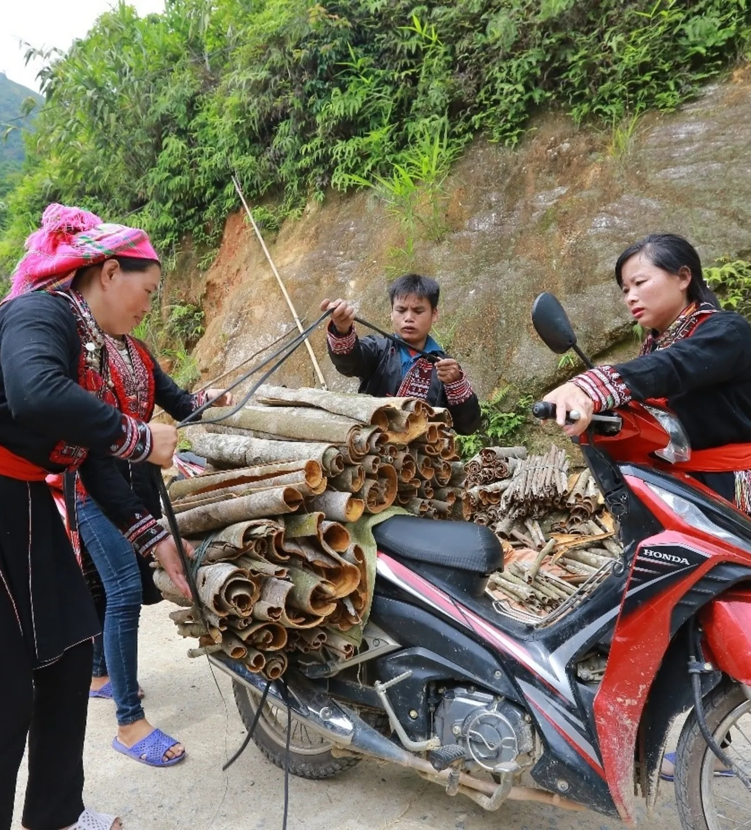 Success story: organic cinnamon plantation supports women’s empowerment