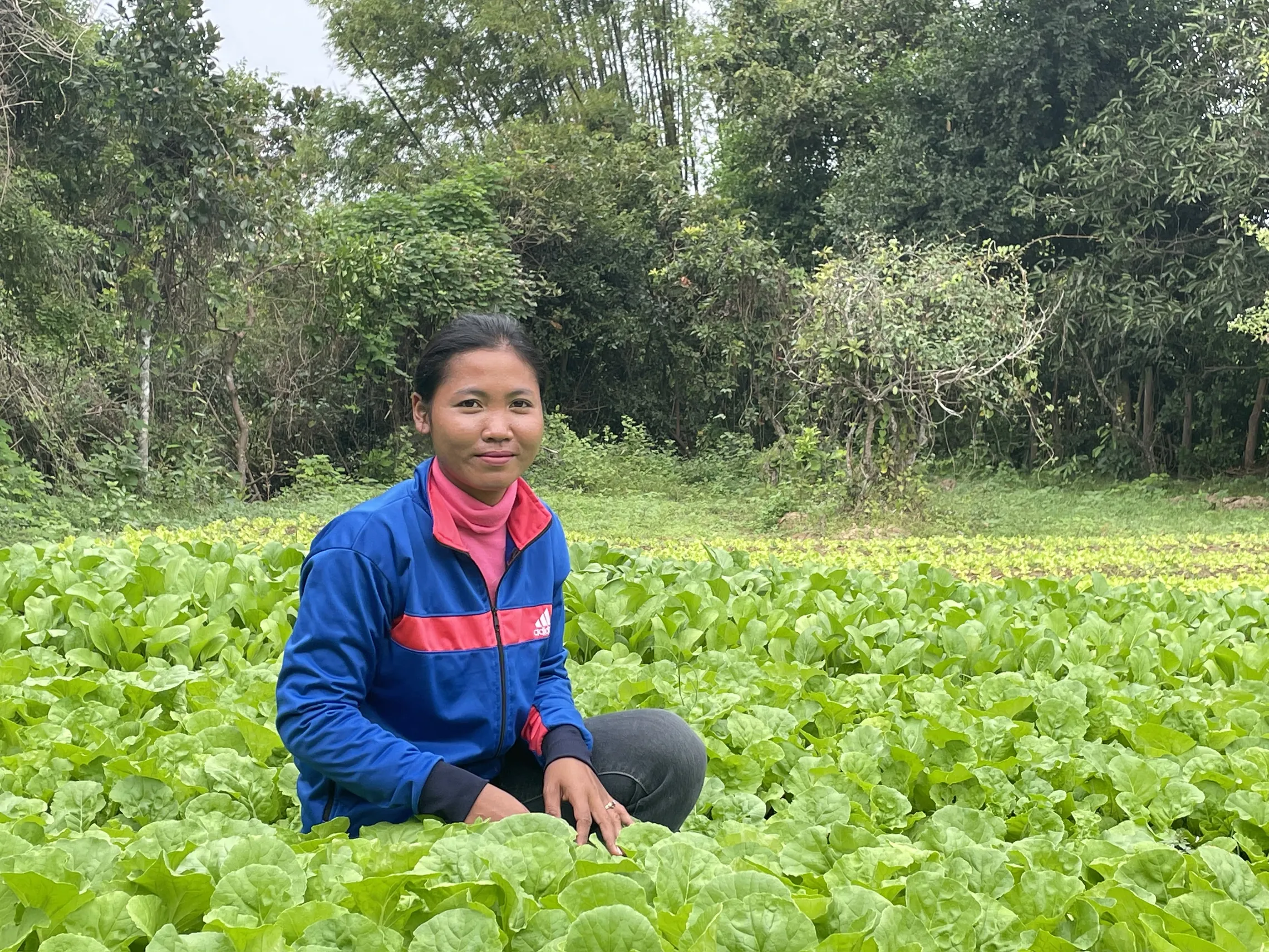 Sophea sitting in a field of lettuce