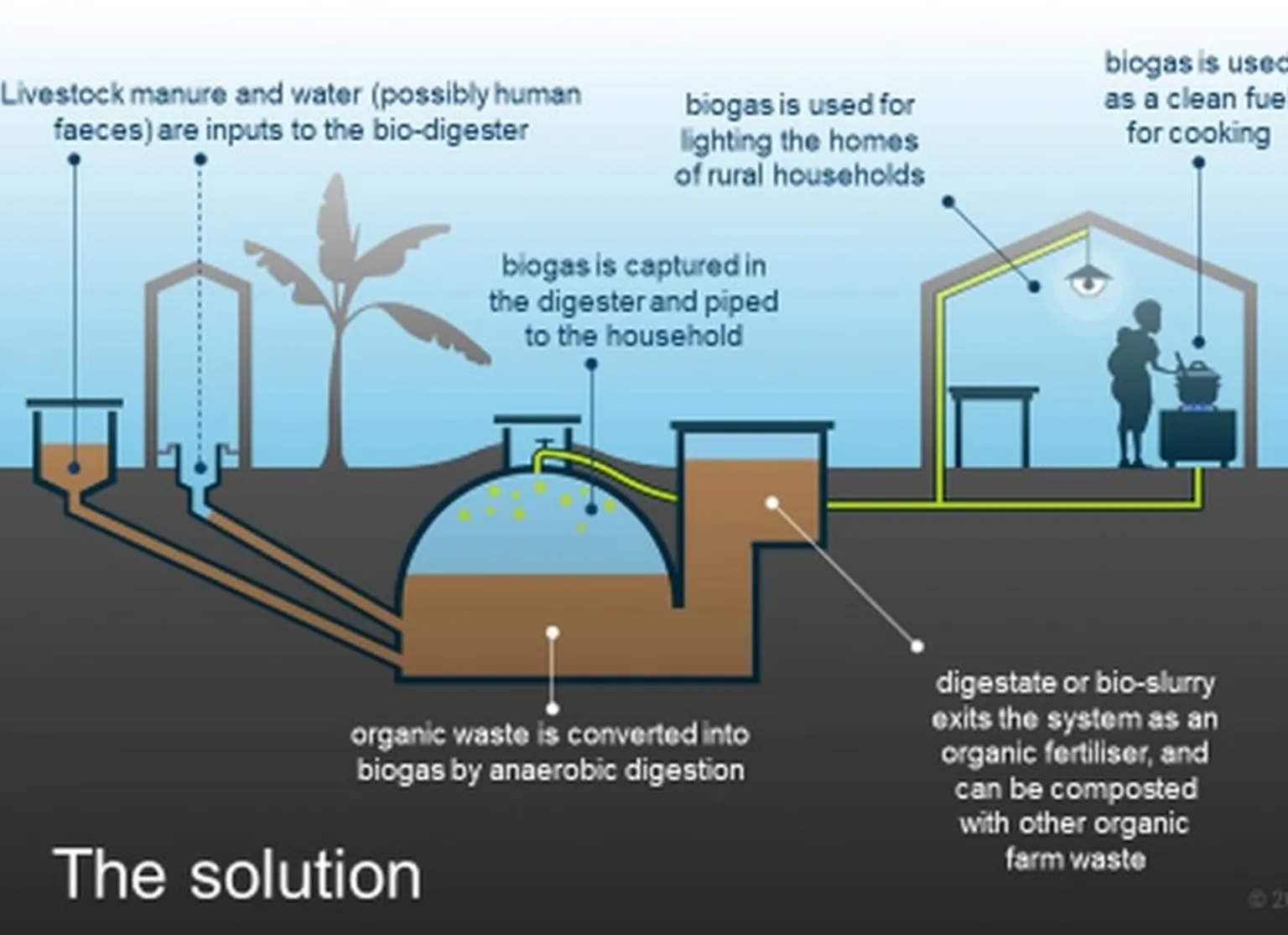 Watch a video showing how SNV creates sustainable biogas markets