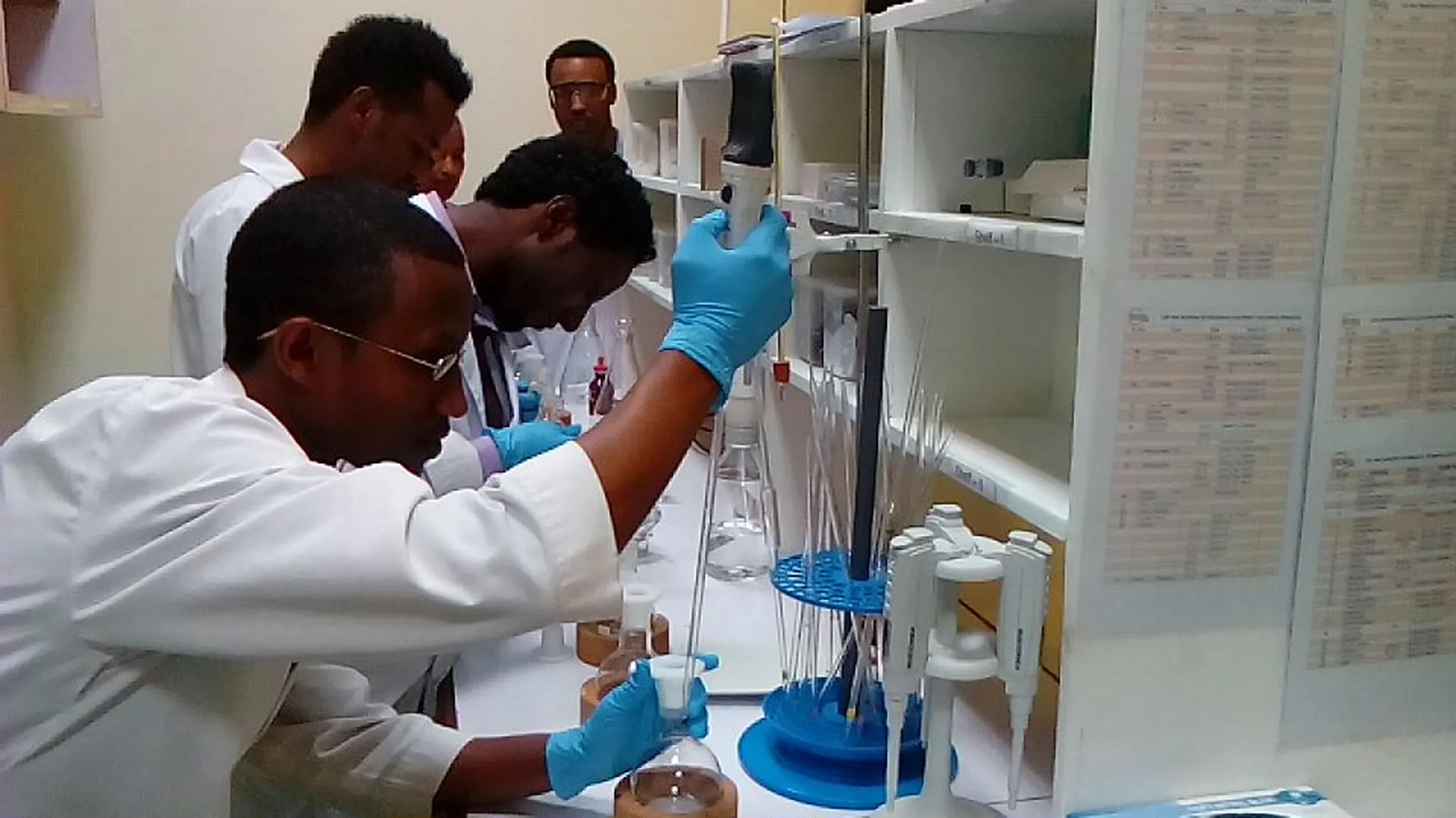 Trainee laboratory technicians conducting full honey analysis 