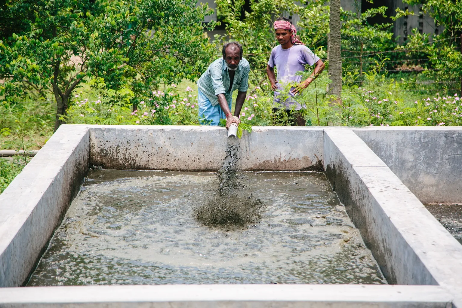 Discharging sludge into drying beds (SNV/Aidan Dockery)