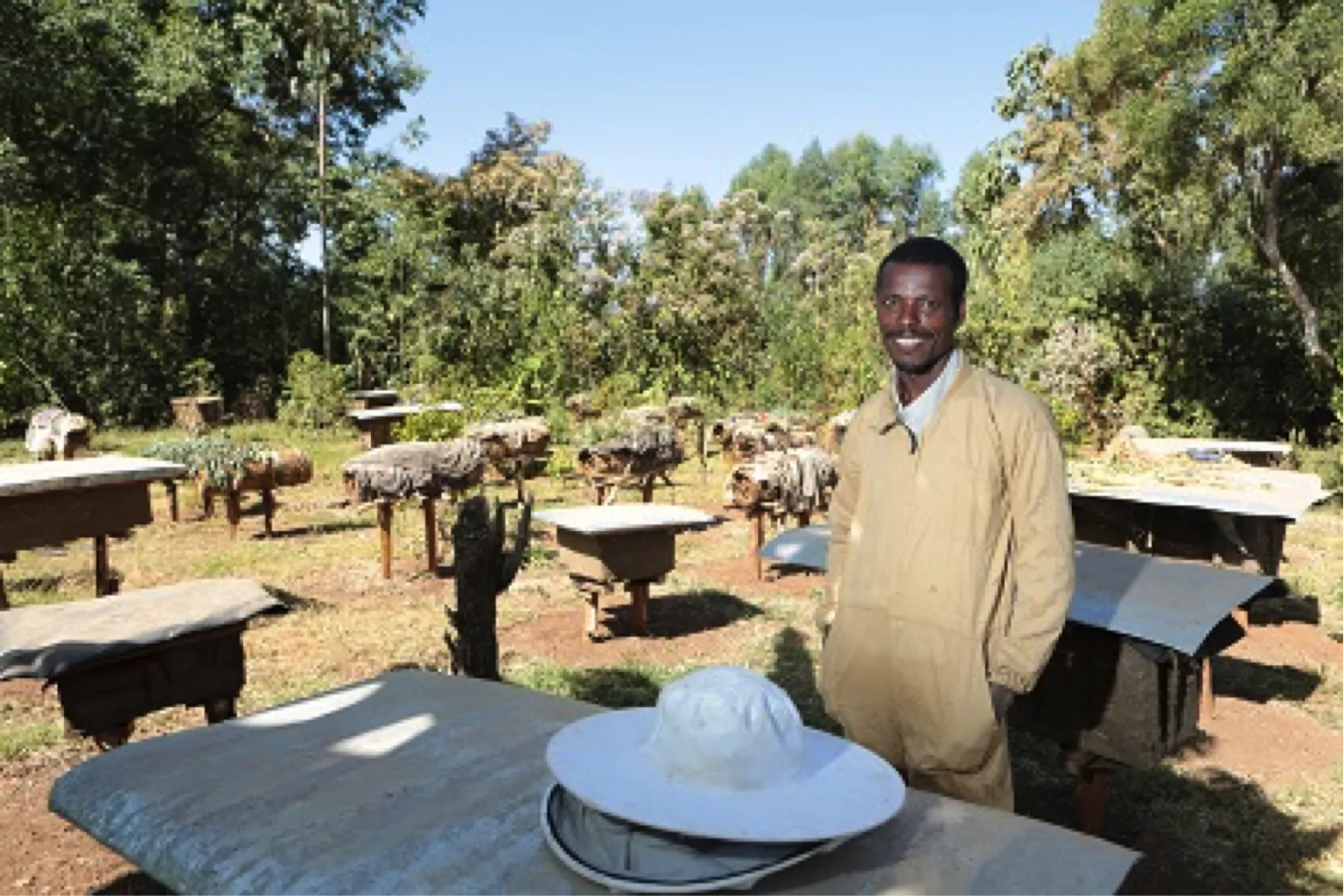 Project assists beekeepers to develop resilience to resource scarcity